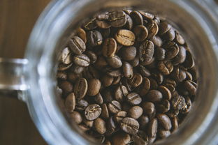 怀孕能吃牛油果和百香果吗？